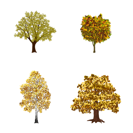 set of trees with yellow leaves on a white backgroundのイラスト素材