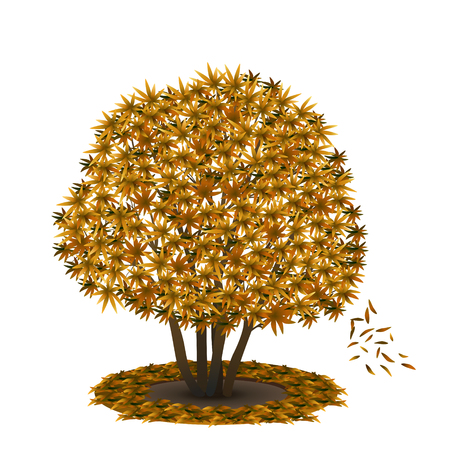 bush with yellow leaves and shadow on white backgroundのイラスト素材
