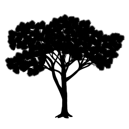 silhouette stone pine with green needles on a white backgroundのイラスト素材