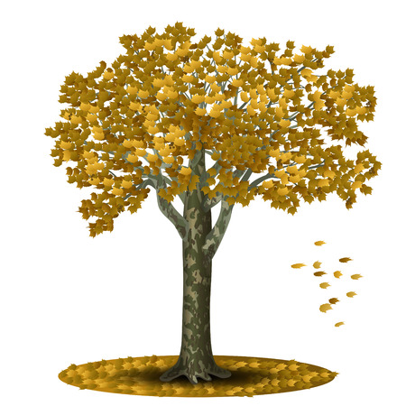 detached tree sycamore with yellow leaves on a white backgroundのイラスト素材