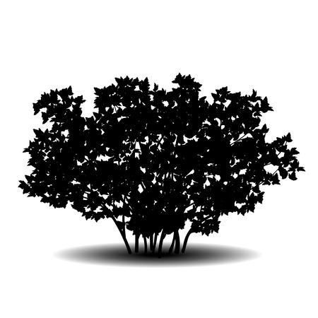 silhouette bush with leaves and shadow on white backgroundのイラスト素材