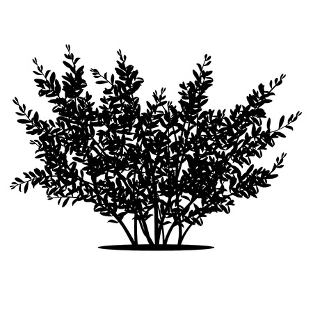 silhouette bush with leaves and shadow on white backgroundのイラスト素材