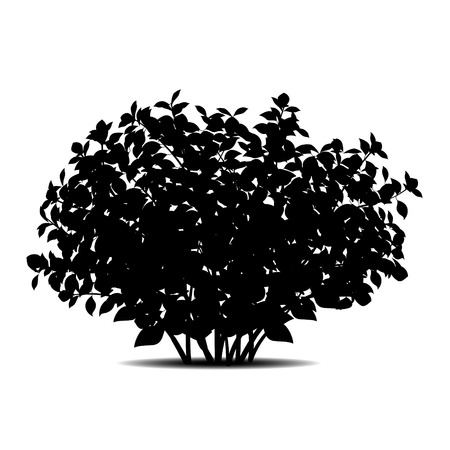 silhouette bush with leaves and shadow on white backgroundのイラスト素材