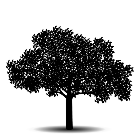 silhouette detached tree with leaves on a white backgroundのイラスト素材