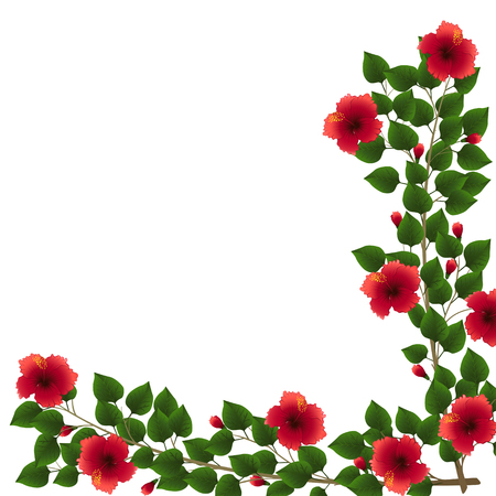 pattern of hibiscus with green leaves and flowers on a white backgroundのイラスト素材