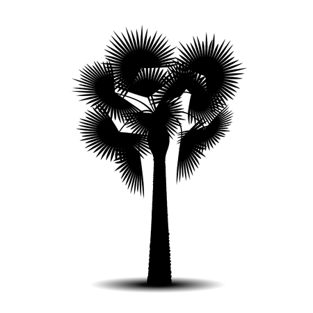 Silhouette a palm tree with shadow on a white backgroundのイラスト素材