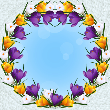 Frame with white and yellow flowers of crocuses on a blue backgroundのイラスト素材