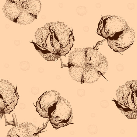 コットングラスの写真 イラスト素材一覧 6 936件 ストックフォトのamanaimages Plus