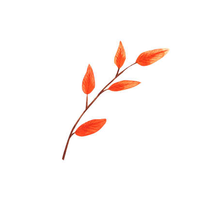 Watercolor hand-drawn autumn orange branch with leaves isolated on white background. Art creative nature object illustrationの写真素材