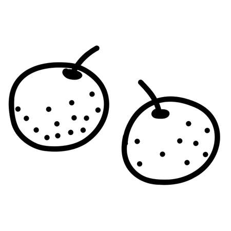 Hand drawn doodle of orange in vector formatのイラスト素材