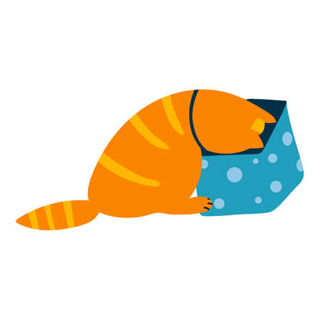 Vector illustration of ginger cat looking into gift box in cartoon flat style. Funny pet character for kids design, card, textileのイラスト素材