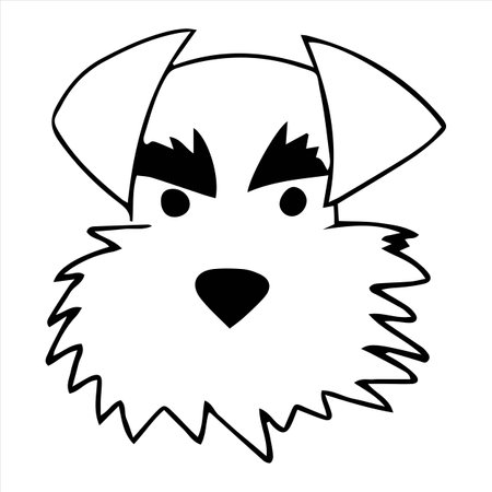 Vector portrait of a Mittel schnauzer dog in doodle cartoon style. Pet illustration in line art styleのイラスト素材