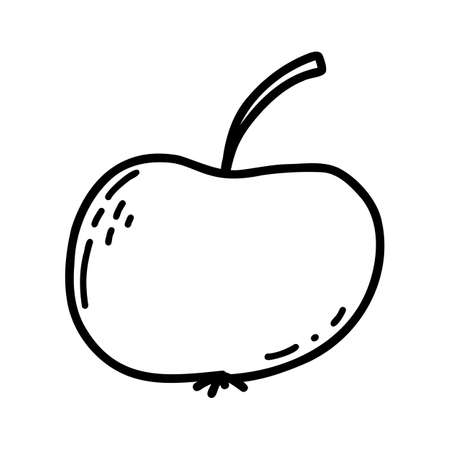 Doodle of apple. Vector linear illustration of fresh fruitのイラスト素材