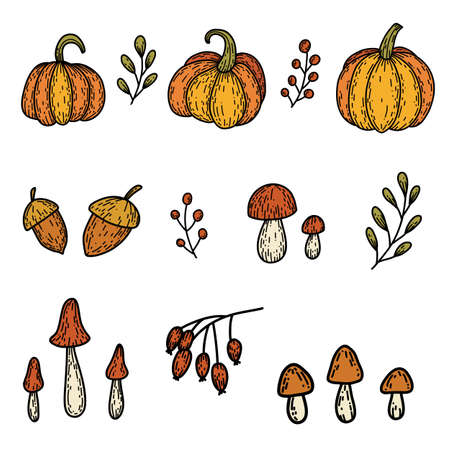Set of pumpkin, branches, mushroom, rose hip, acorn in hand drawn doodle style. Linear autumn vector illustrationのイラスト素材