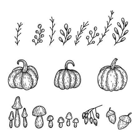 Set of pumpkin, branches, mushroom, rose hip, acorn in hand drawn doodle style. Linear autumn vector illustrationのイラスト素材