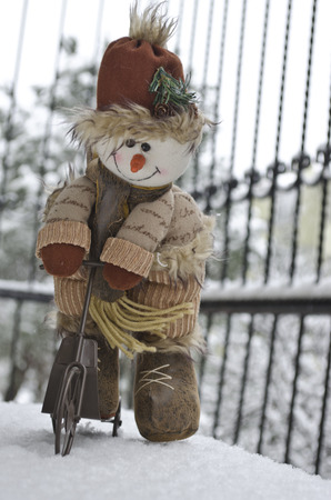 ornamentalの写真素材