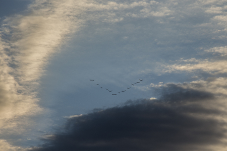 Daybreak cloudの写真素材