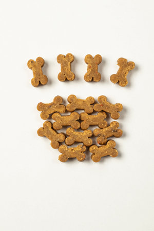 close-up cat, dog fresh, steak, meat, chicken, turkey, paw pattern dry food, award food