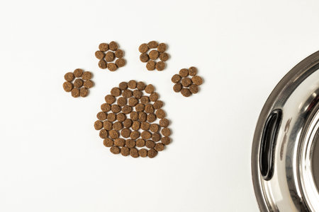 close-up cat, dog fresh, steak, meat, chicken, turkey, paw pattern dry food, award food