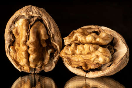 close-up black background raw delicious peeled shelled fresh walnut kernel studio conceptの写真素材