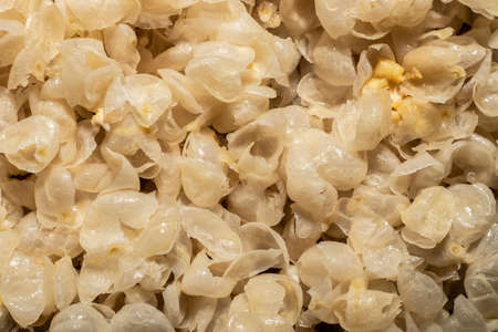 food preparation boiled peeled chickpea grains in group top viewの写真素材