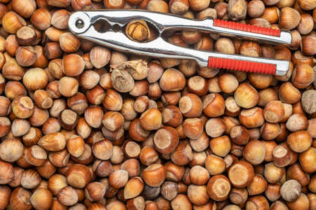 close-up top view group of aromatic shelled unshelled fresh hazelnuts of black sea regionの写真素材