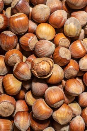 close-up top view group of aromatic shelled unshelled fresh hazelnuts of black sea region