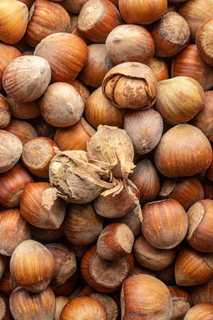 close-up top view group of aromatic shelled unshelled fresh hazelnuts of black sea regionの写真素材