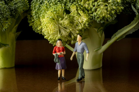 park garden love romance study fresh broccoli concept with close-up macro miniature male female figuresの写真素材