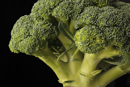 close-up fresh broccoli on black background