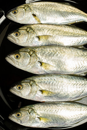 Close-up macro fresh delicious seafood white meat bluefish closeup