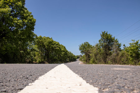 outdoor natural landscape urban asphalt woodland empty road around treesの写真素材