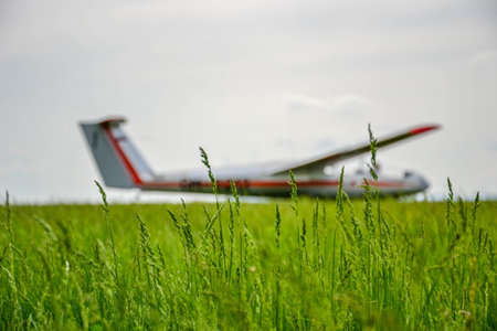 Glider on fieldのeditorial素材