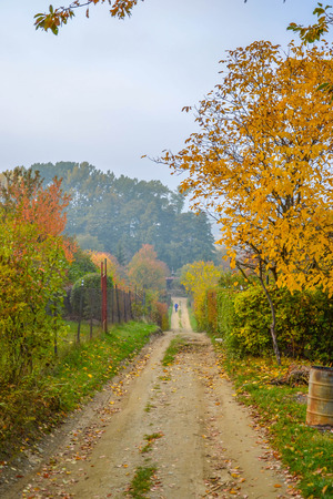 Countryside in autumnの写真素材