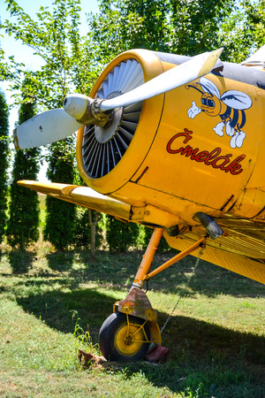 Bumble-bee agro aircraft with bumble-bee painted on engine coverのeditorial素材