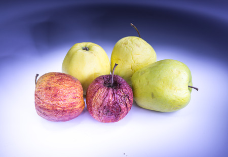 Real old apples in lightの写真素材