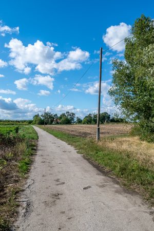 Small dirt road in village between fieldsの写真素材
