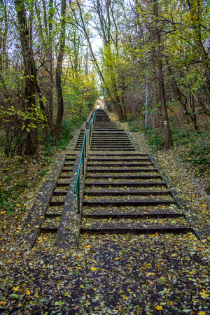Long concrete stairs in forrest park at autumn covered by leafsの写真素材