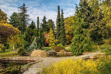 Late October in Bratislava most beautiful parkの写真素材