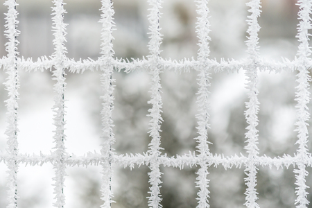 Many fence windows with frozen snow crystals on surfaceの写真素材