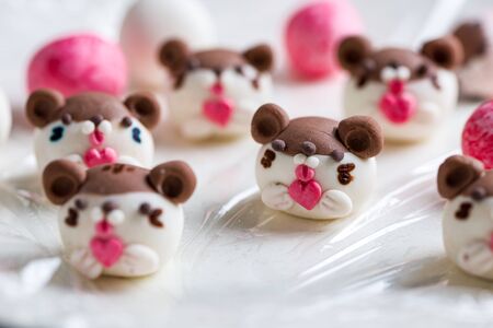 Raw Chinese glutinous rice balls in hamster shapedの写真素材