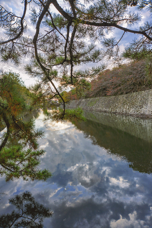 Twilight scenery of Hikone castleのeditorial素材