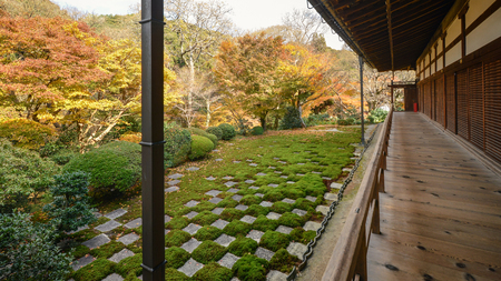 Autumn scenery of Tofuku-ji Temple in Kyotoのeditorial素材