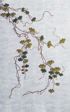 Japanese style background imageの写真素材