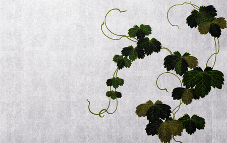 Japanese style background imageの写真素材