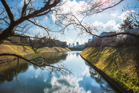 Scenery of Edo Castle and the administrative districtのeditorial素材
