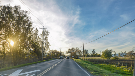 Evening landscape of Napa Valleyの写真素材