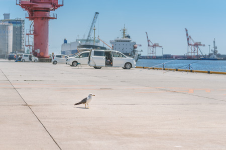 Scenery of the Sendai portの写真素材