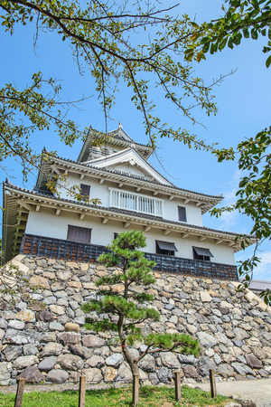 Summer scenery of the Nagahama Castleのeditorial素材