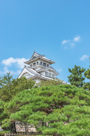 Summer scenery of the Nagahama Castleのeditorial素材
